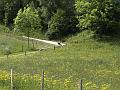 AUS04062009 (194)